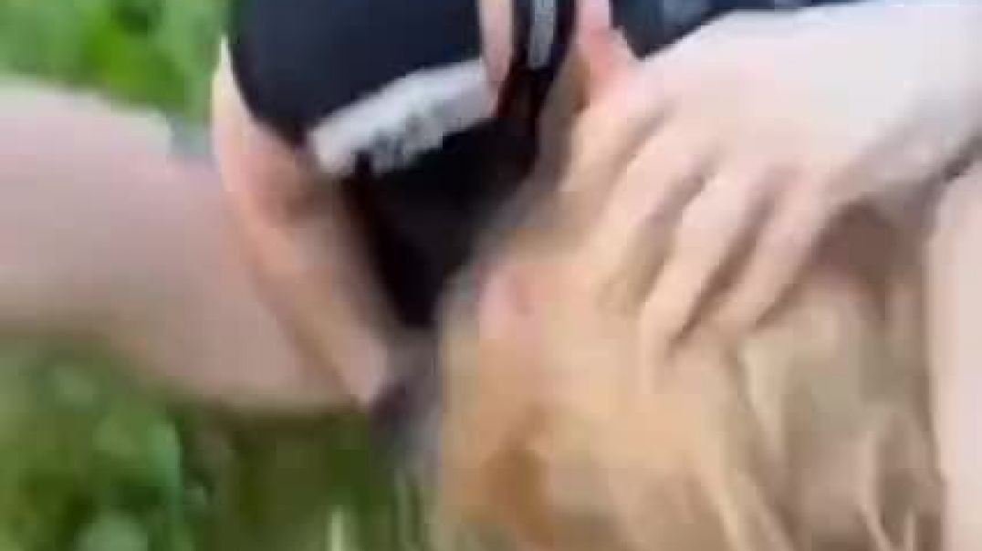⁣Закладчицу вытянули из машины наказали и заставили извинятся - смотреть видео